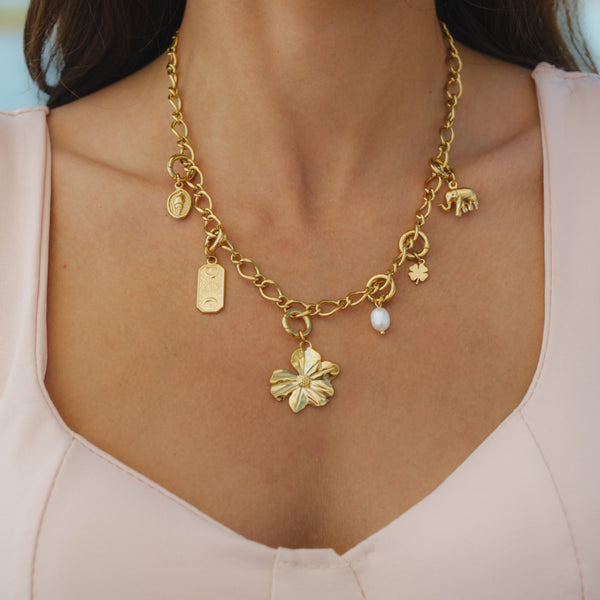 Earth Lover Necklace Set - 6 Charms and 1 Necklace