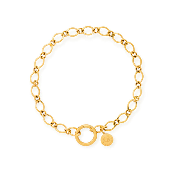 Chains of Connection Bare Anklet