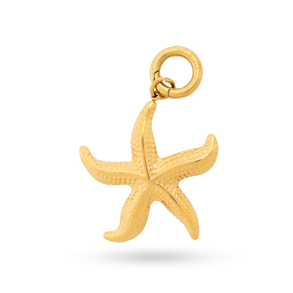 Etoile de mer Charm