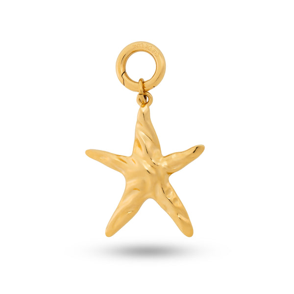 Coastal Star Charm