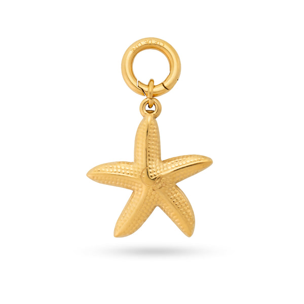 Golden starfish Charm