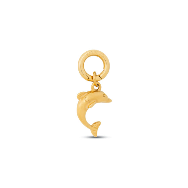 Dancing dolphin Charm