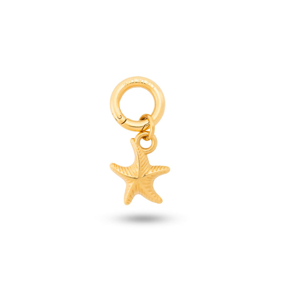 Ocean Starfish Charm