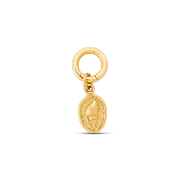 Golden Trace Charm