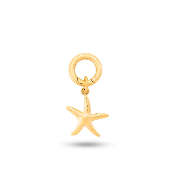 Sunlit Starfish Charm