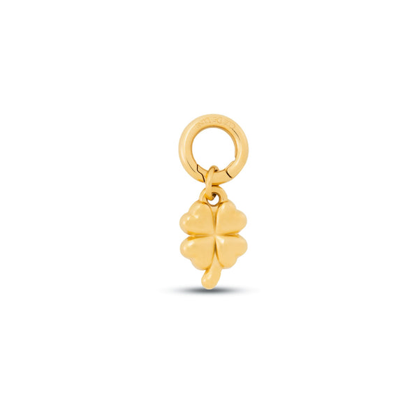 Luck Keeper Charm