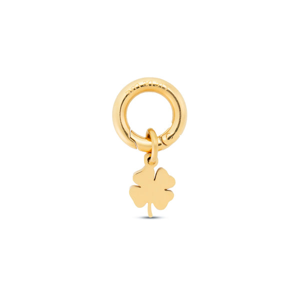 Hidden Fortune Charm