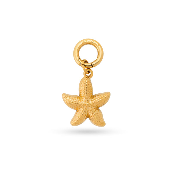 Starlit Sea Charm
