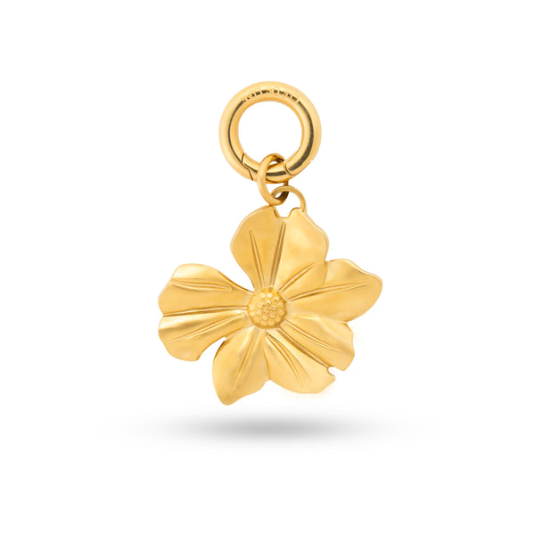 Rooted Beauty Charm